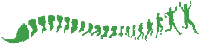 Quiropactica Integral